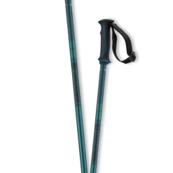 KIJE NARCIARSKIE SALOMON ARCTIC Blue 2023